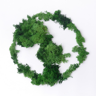 Environmental Sustainability: Our Commitment to the Planet